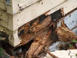 How to Spot Structural Issues Before They Become Costly